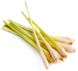 Lemongrass Essential Oil